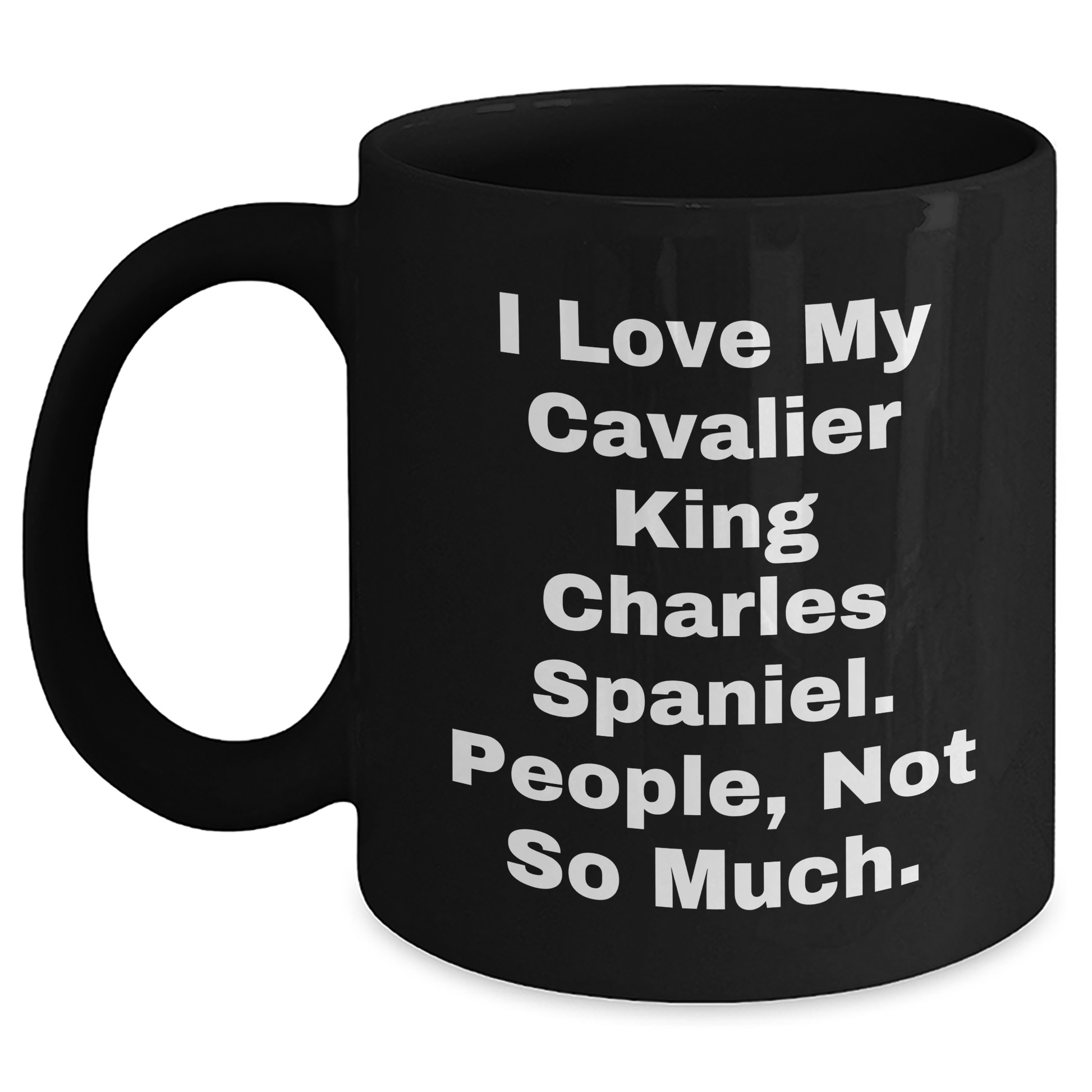 Cavalier King Charles Spaniel Dog Lover's Funny Quote Gifts from Friends to Family, Graduation Unique Gifts for Him or Her - Main