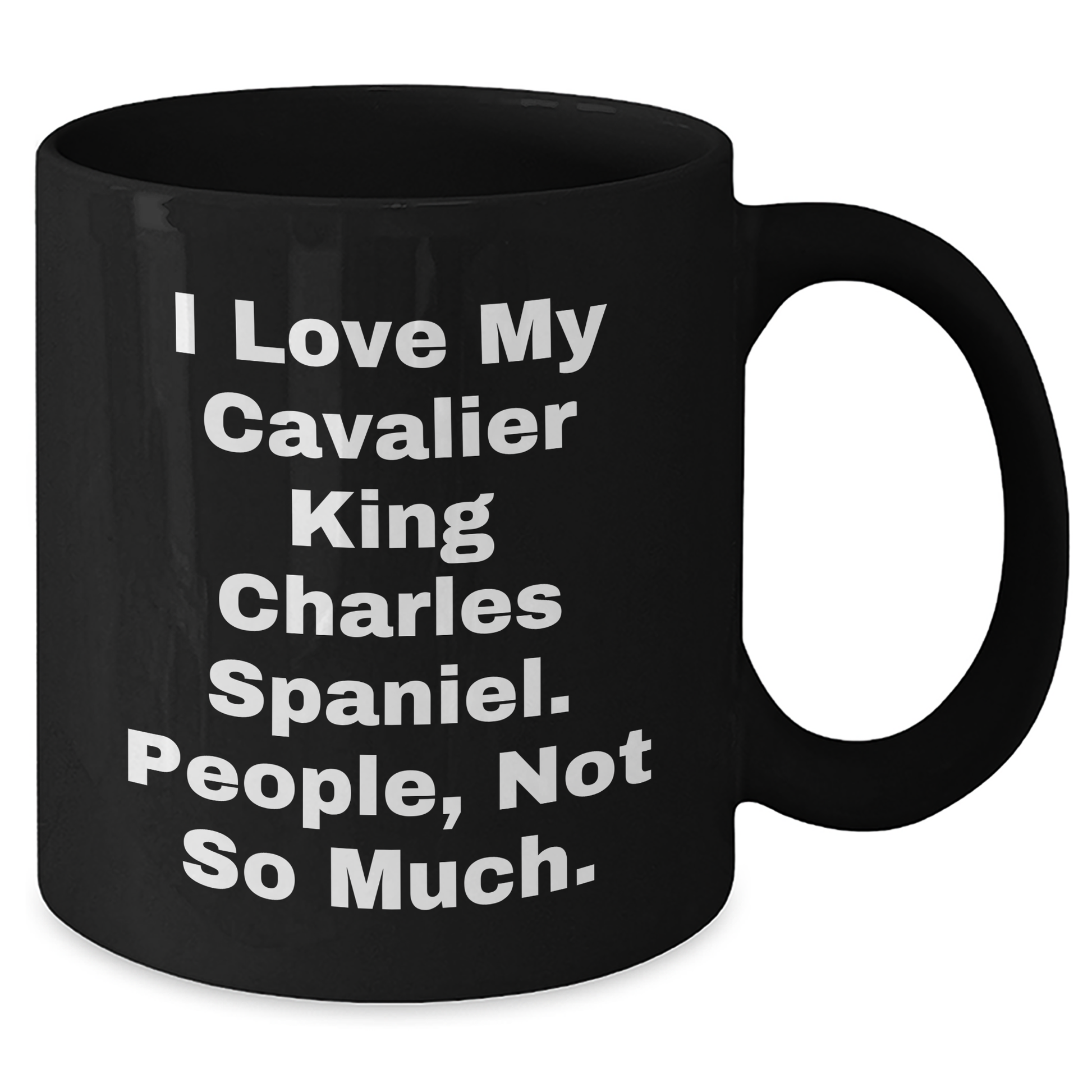 Cavalier King Charles Spaniel Dog Lover's Funny Quote Gifts from Friends to Family, Graduation Unique Gifts for Him or Her - Additional
