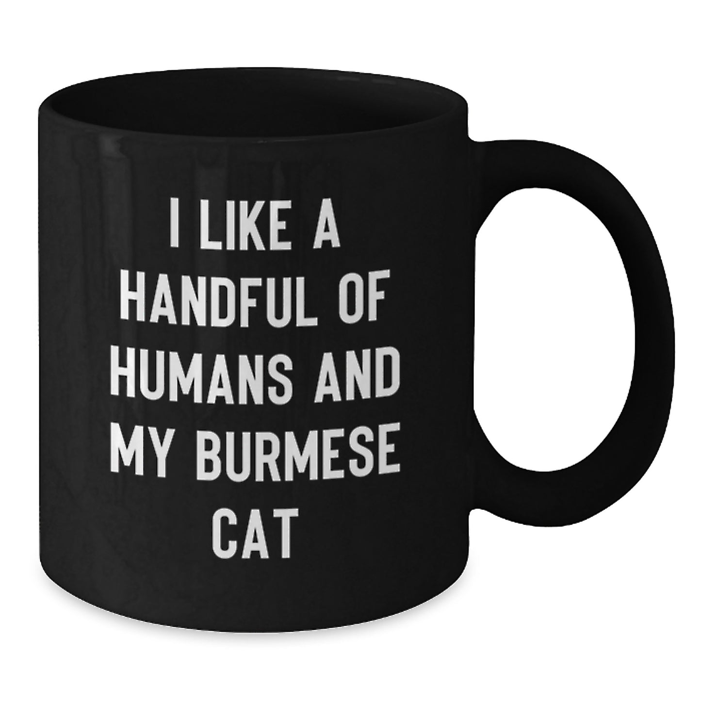 Funny Burmese Cat Lovers Gifts from Men to Women, I Like A Handful Of Humans And My Burmese Cat Christmas Unique Gifts - Additional