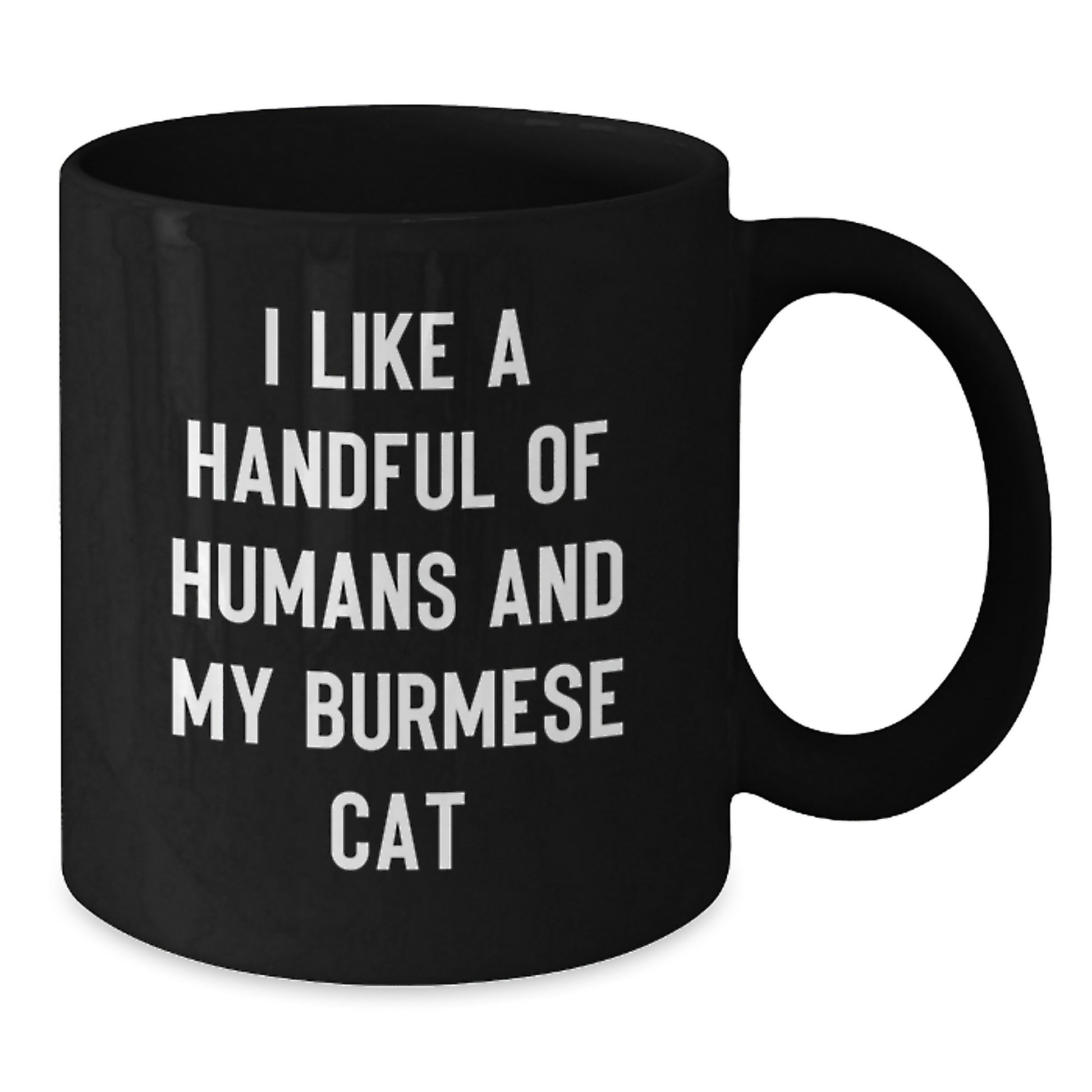 Funny Burmese Cat Lovers Gifts from Men to Women, I Like A Handful Of Humans And My Burmese Cat Christmas Unique Gifts - Additional