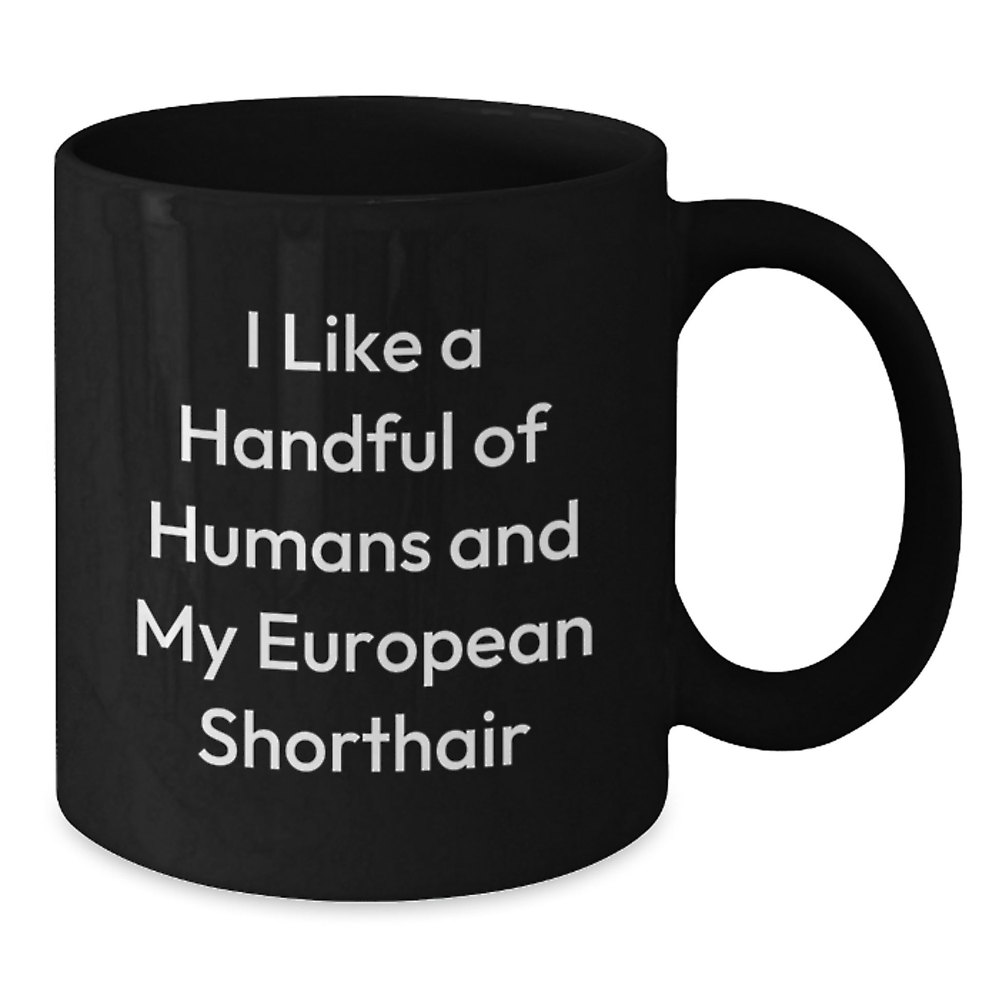 Funny European Shorthair Cat Black Coffee Mugs Gifts from Friends to Family for Christmas Memorable Present - Additional