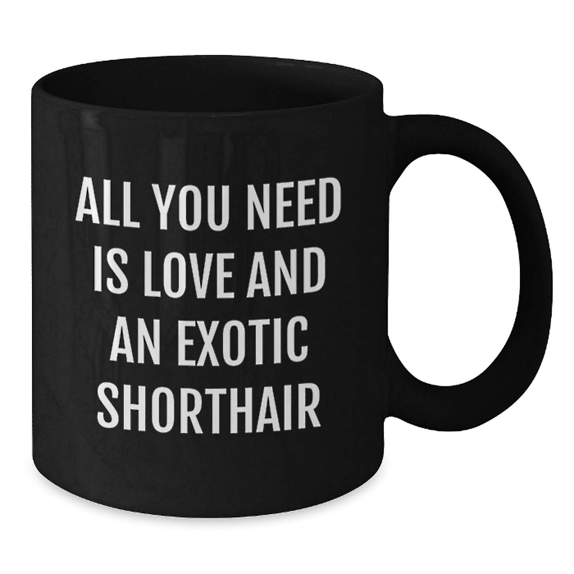 Funny Exotic Shorthair Cat Lovers Gifts from Friends to Family - Birthday Unique Gifts for Exotic Shorthair Cat Enthusiasts - All You Need Is Love And An Exotic Shorthair Black Coffee Mug - Additional