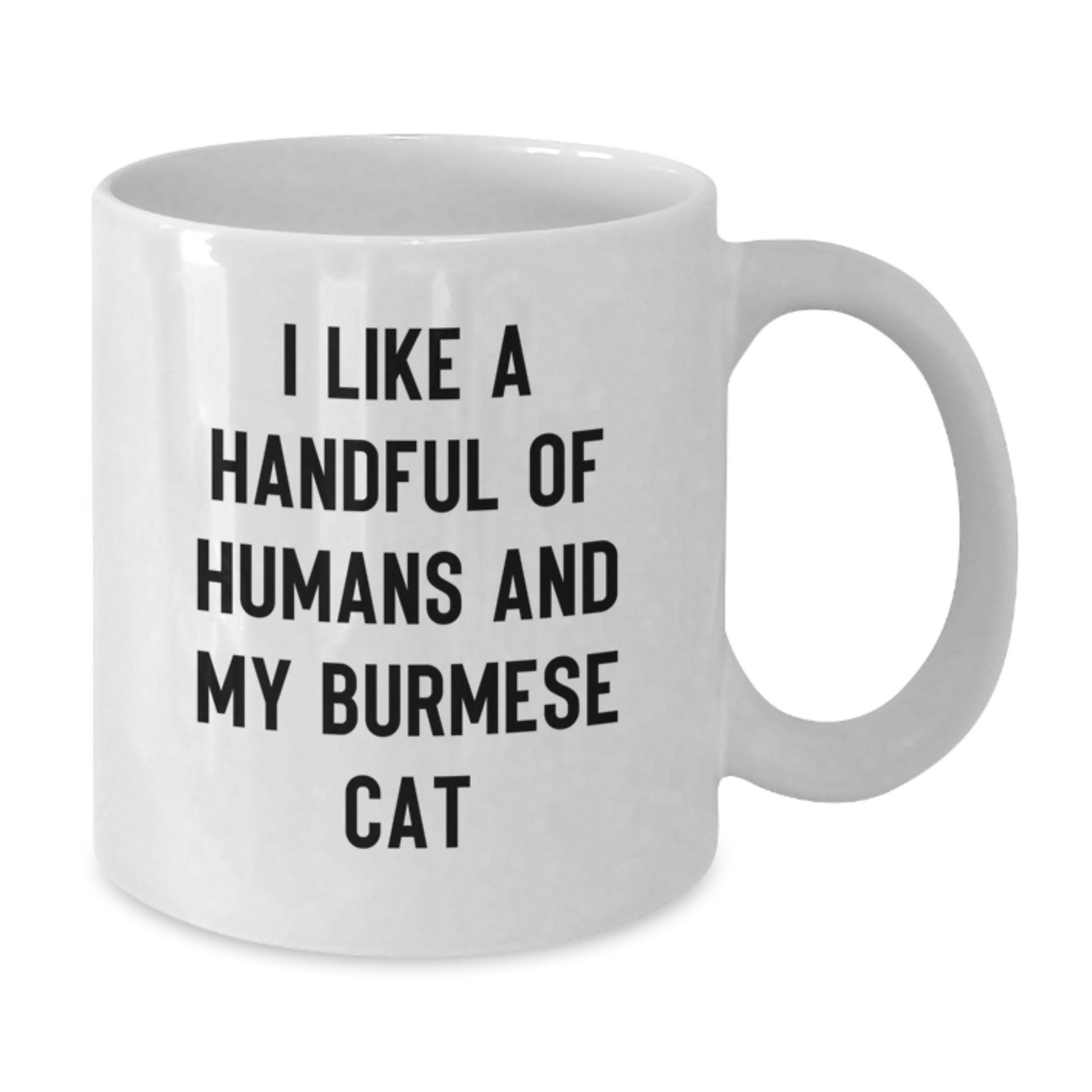 Funny Burmese Cat Gifts from Friends for White Coffee Mug Lovers on Christmas - Additional