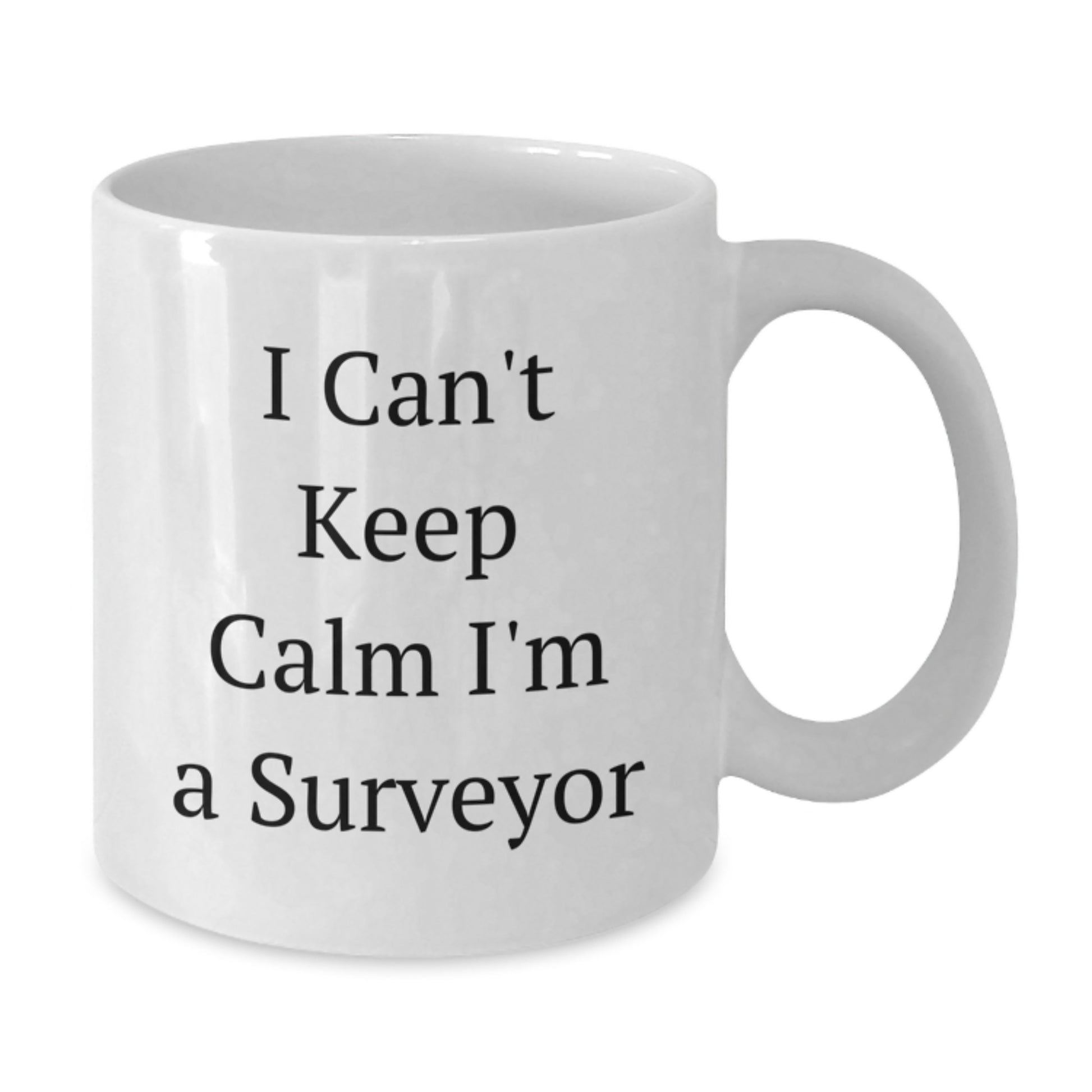 Funny Surveyor Gifts from Friends - I Can't Keep Calm I'm A Surveyor White Coffee Mug for Men - Christmas Unique Gifts for Him - Additional