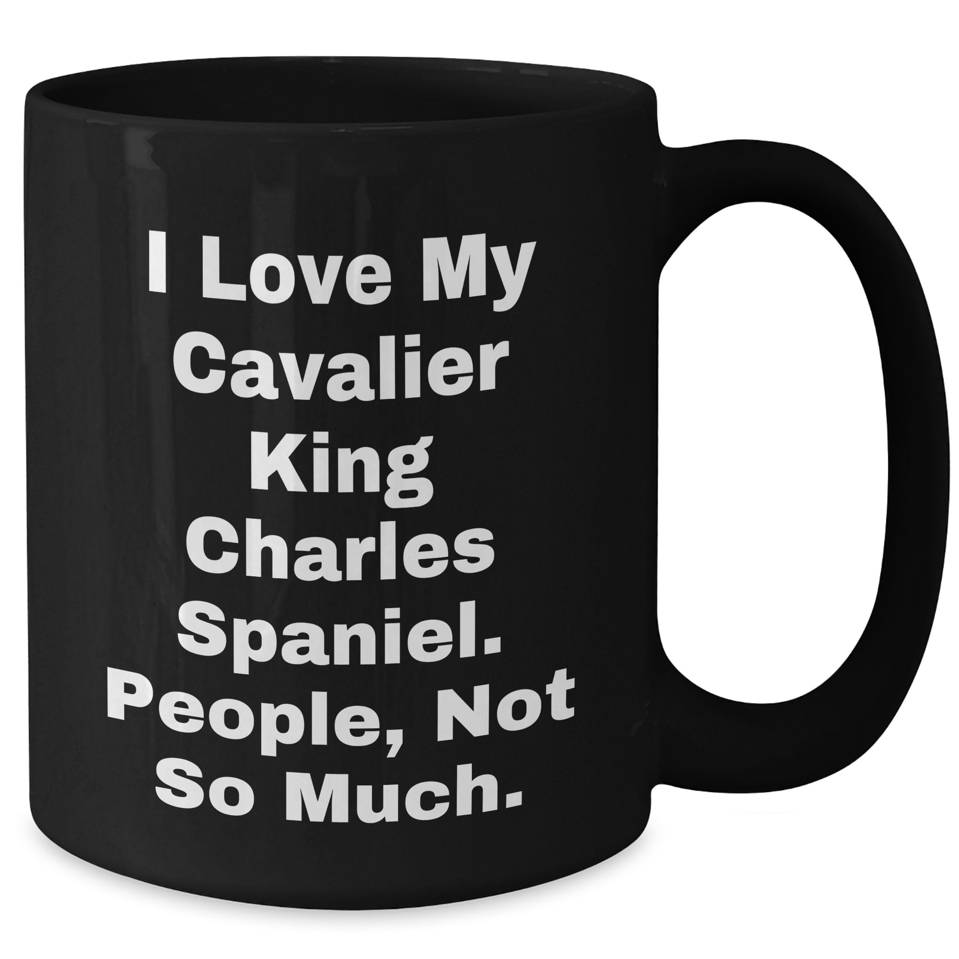 Cavalier King Charles Spaniel Dog Lover's Funny Quote Gifts from Friends to Family, Graduation Unique Gifts for Him or Her - Additional