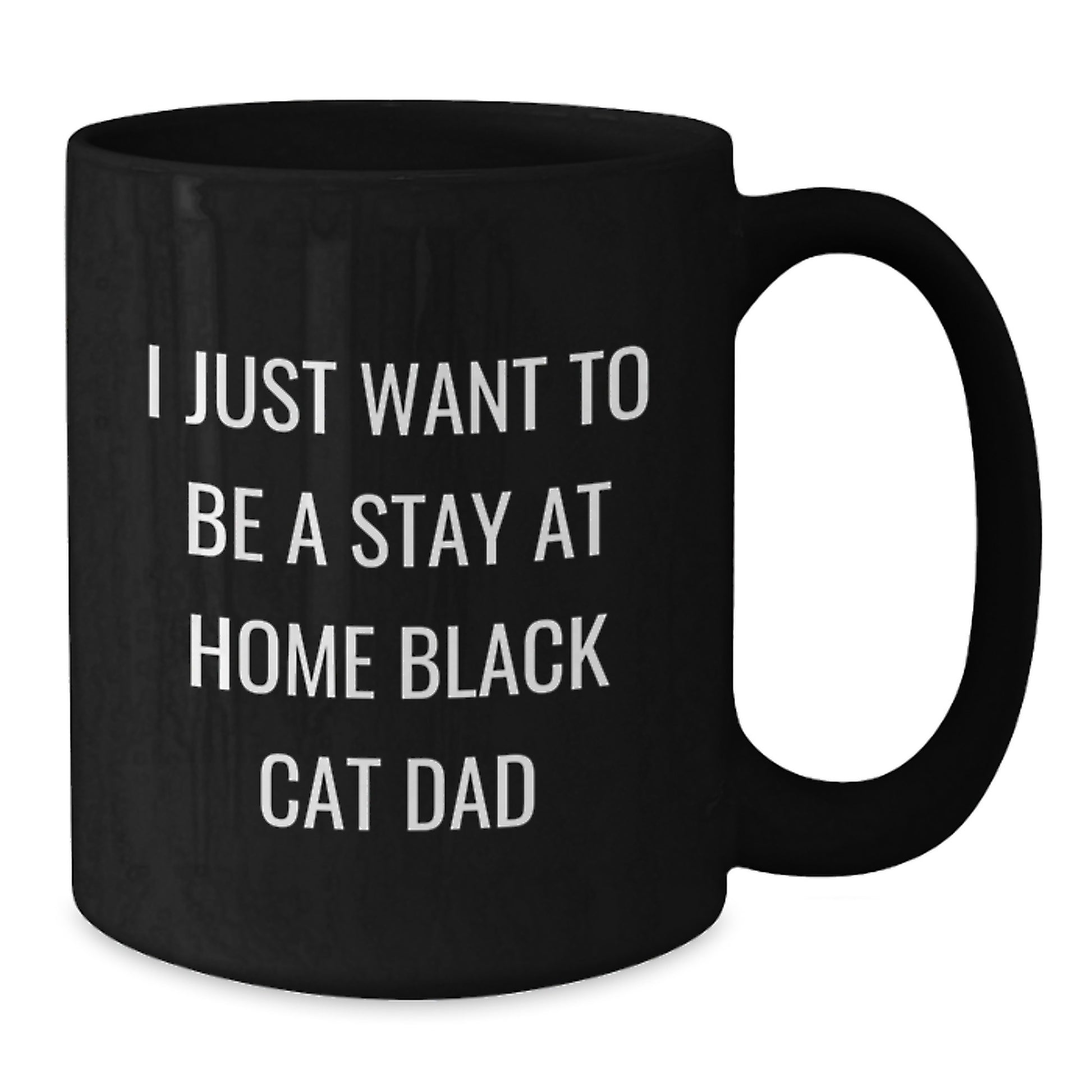 Funny Black Cat Dad Christmas Unique Gifts from Men to Family, Black Coffee Mug for Cat Enthusiasts, Inspirational Quote 'I Just Want To Be A Stay At Home Black Cat Dad' - Additional