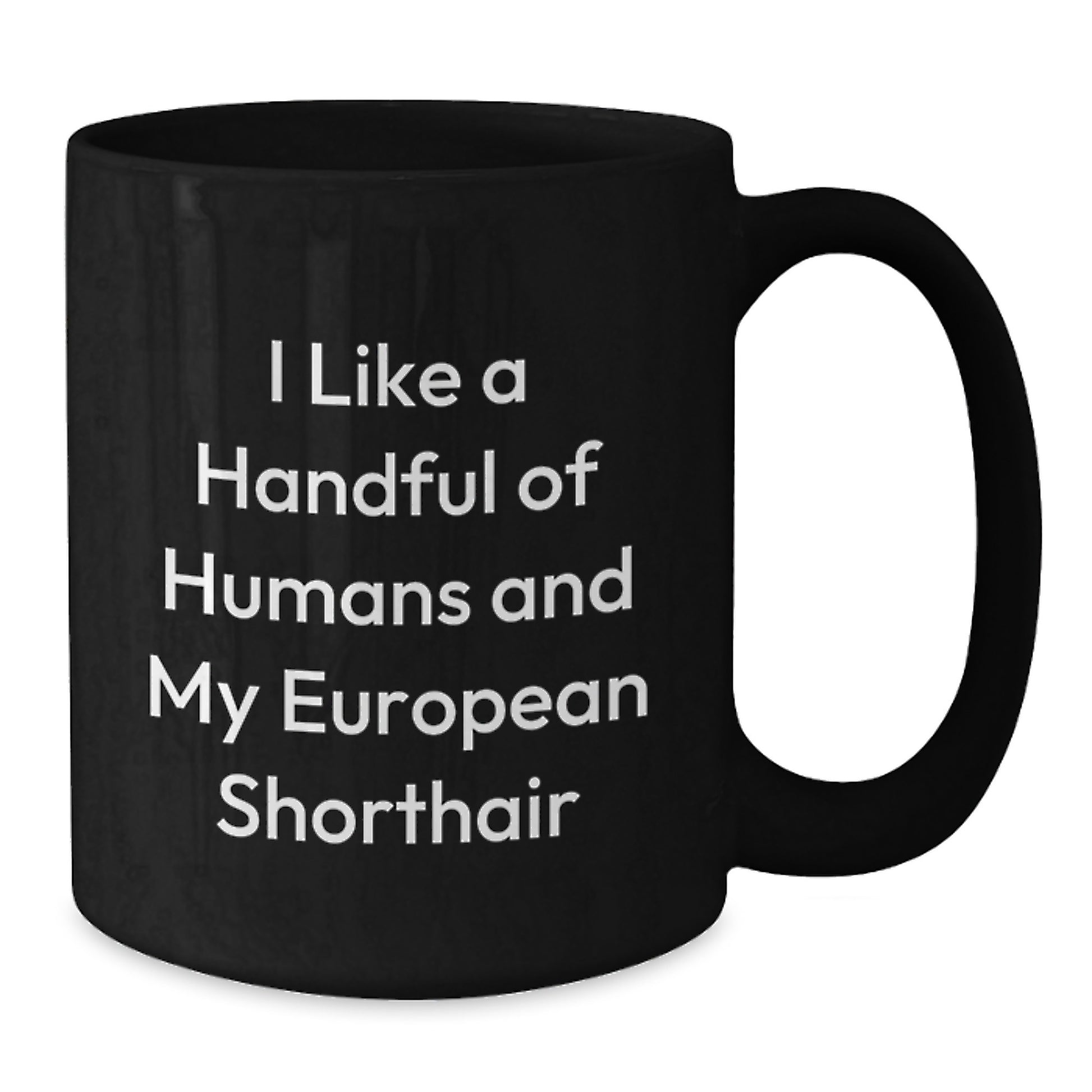 Funny European Shorthair Cat Black Coffee Mugs Gifts from Friends to Family for Christmas Memorable Present - Additional