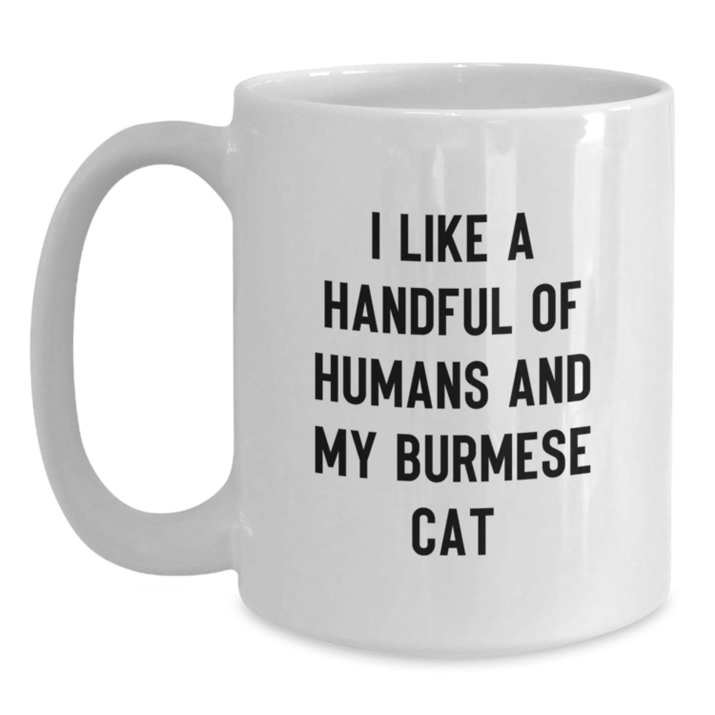 Funny Burmese Cat Gifts from Friends for White Coffee Mug Lovers on Christmas - Main