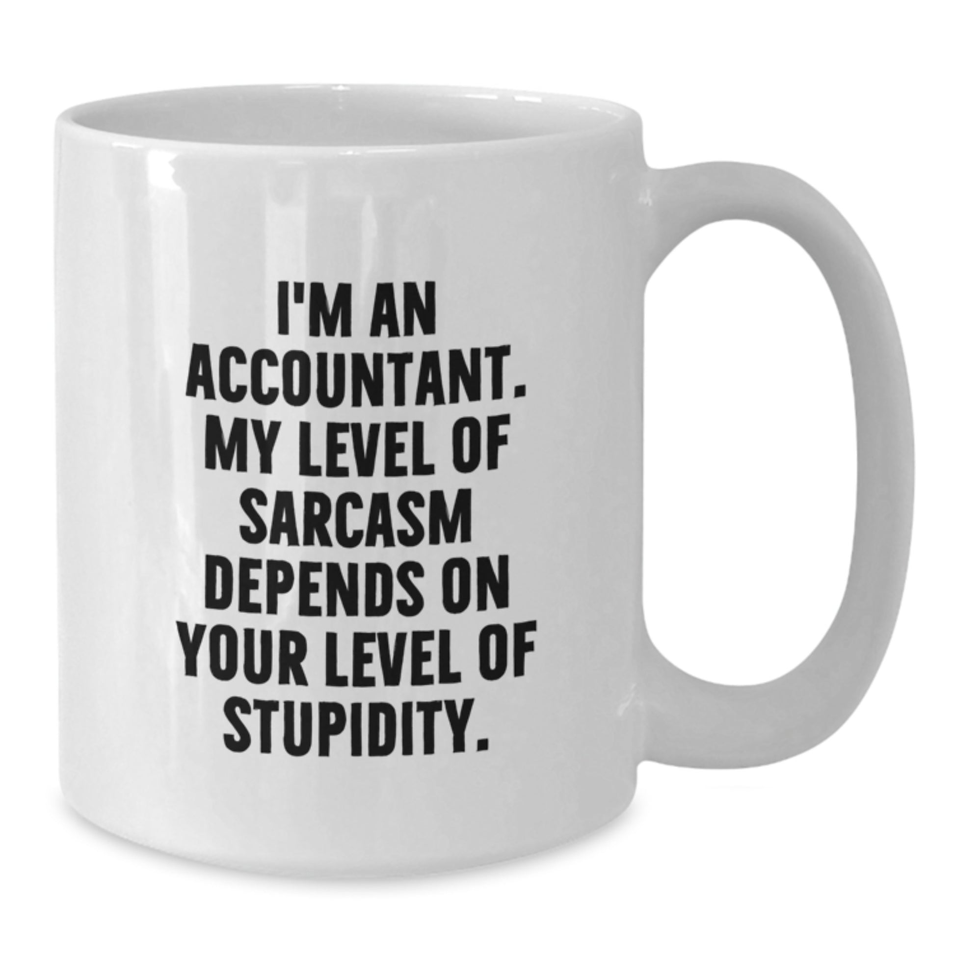Funny Accountant White Coffee Mug Gifts from Friends for Accountant, Perfect for Christmas Unique Gifts - Additional