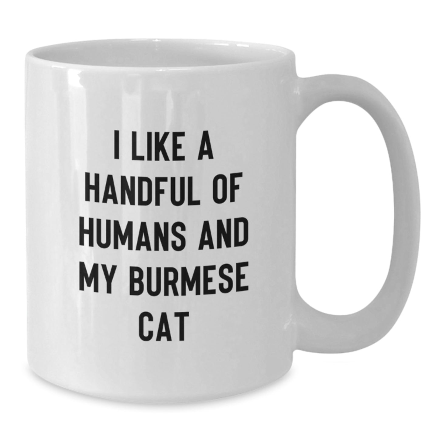 Funny Burmese Cat Gifts from Friends for White Coffee Mug Lovers on Christmas - Additional