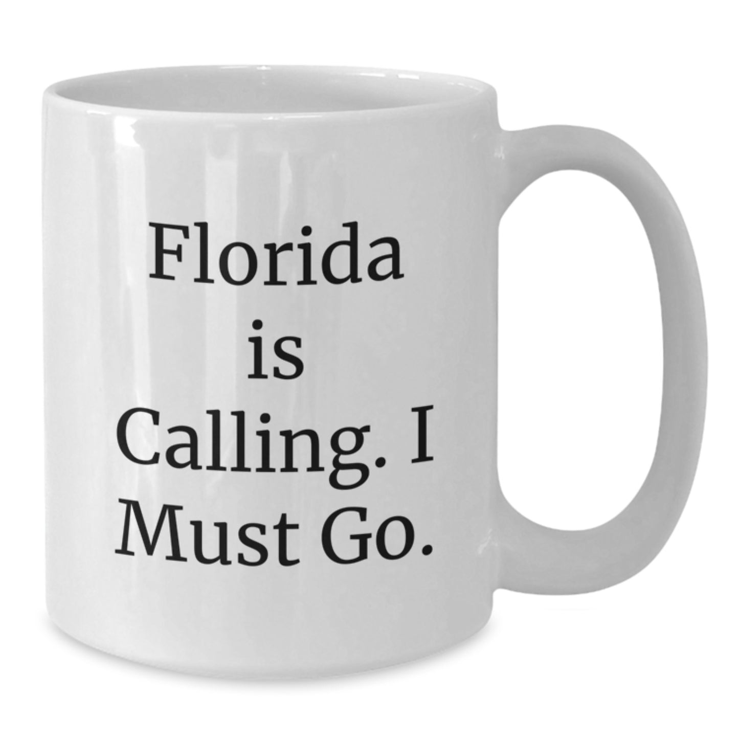 Florida White Coffee Mug - Funny Quote Gifts for Florida Lovers from Friends and Family - White Ceramic Christmas Unique Gifts - Additional