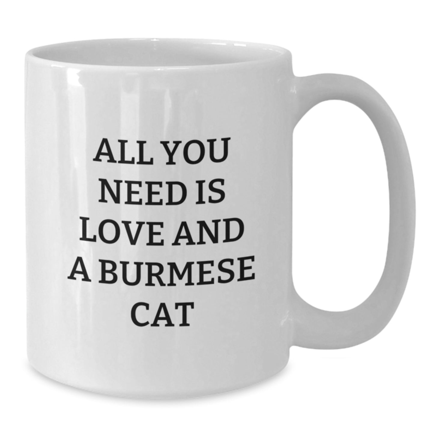 Burmese Cat Lovers Gifts from Friends for Christmas Unique White Coffee Mugs - All You Need Is Love And A Burmese Cat - Additional