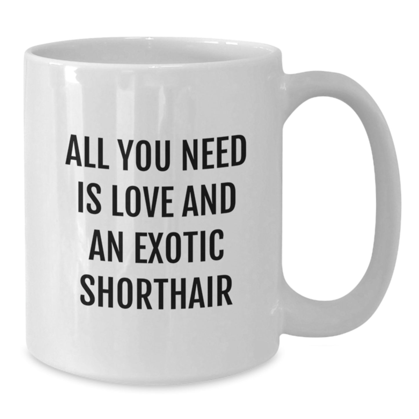 Funny Exotic Shorthair Cat Lover Gifts from Friends for Birthday Unique Exotic Shorthair Cat Enthusiasts All You Need Is Love And An Exotic Shorthair White Coffee Mug - Additional