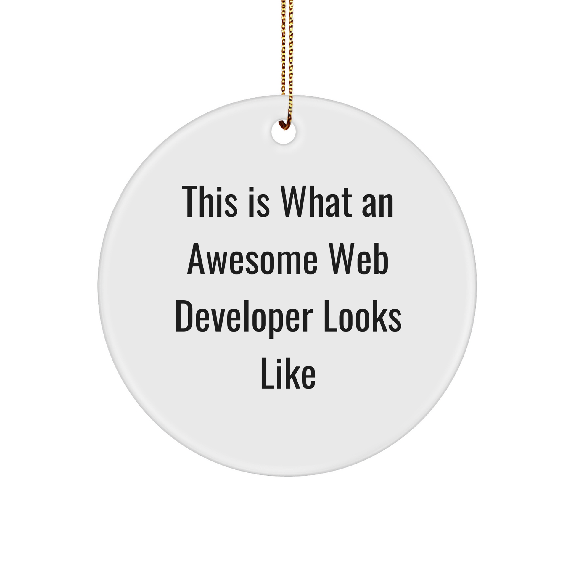 Web Developer Gifts from Friends, Christmas Unique Ornaments for Men and Women, This Is What An Awesome Web Developer Looks Like, Circle Ornament - Image 1