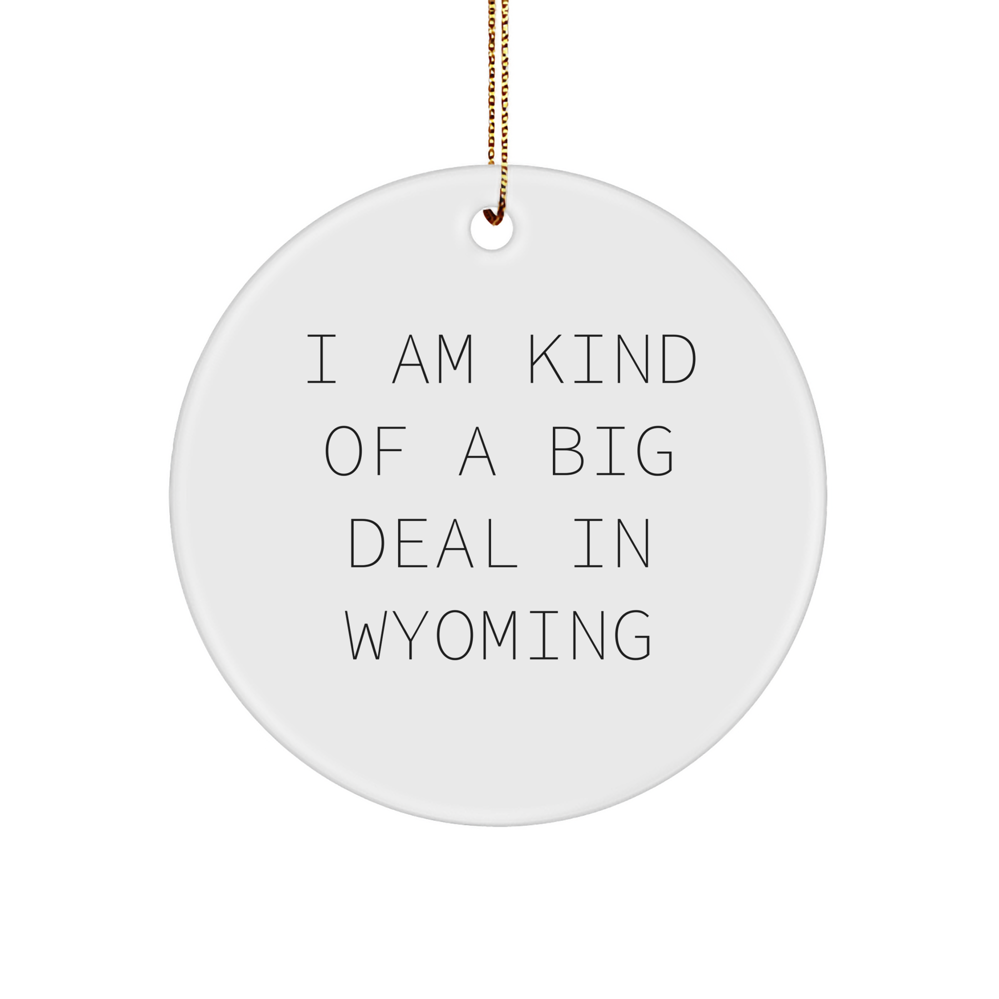 Wyoming Gifts: 'I Am Kind Of A Prime Selection In Wyoming' Circle Ornament, Funny, White, 2.75'' Tall, Christmas Unique Gifts from Friends to Family - Image 1