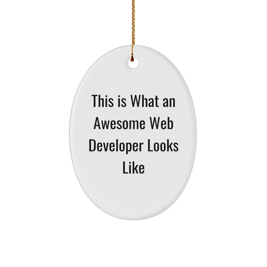 Funny Web Developer Gifts from Friends - This Is What An Awesome Web Developer Looks Like Oval Ornament for Men, Women, Family, Coworkers, and Friends - Image 1