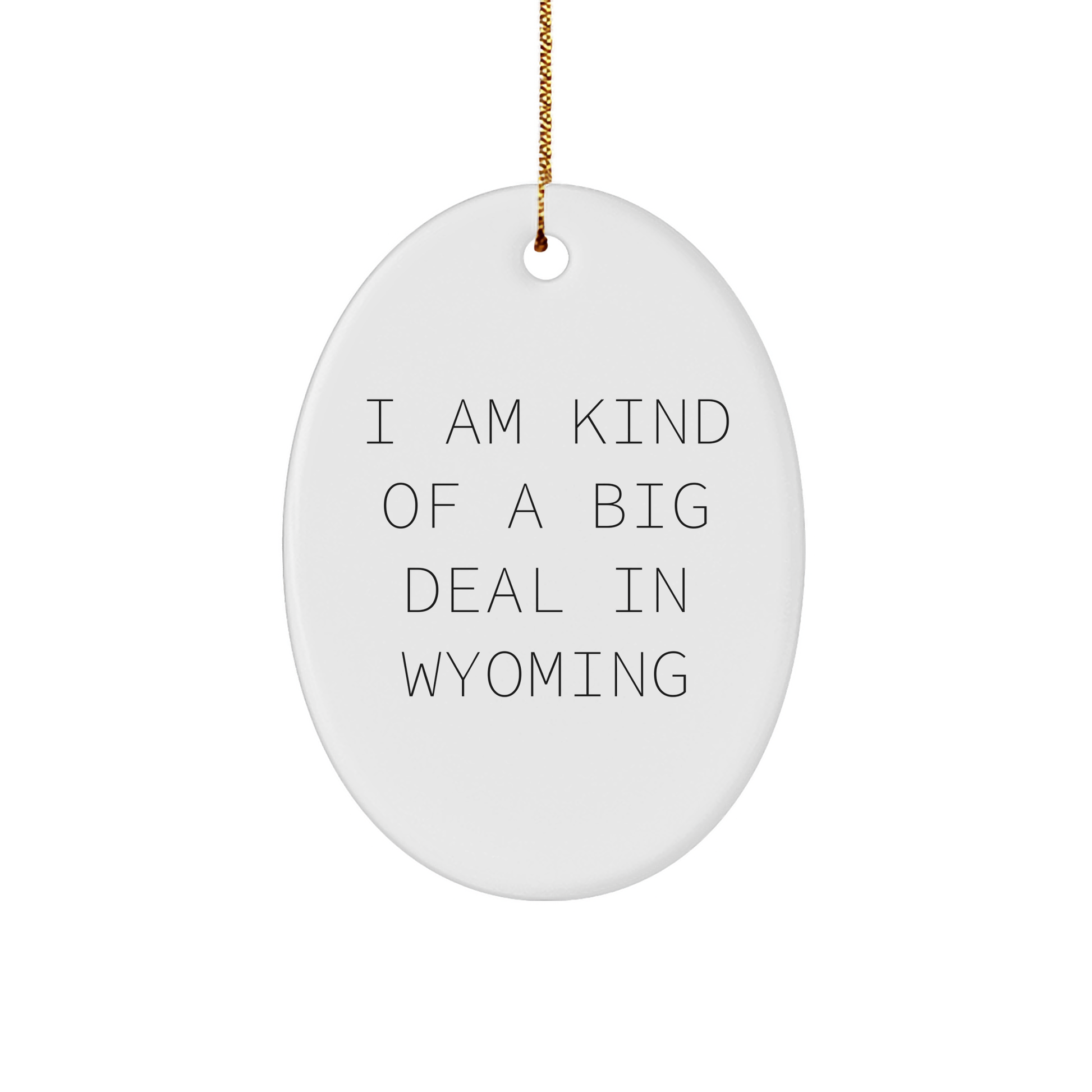 Wyoming Gifts for Men, I Am Kind Of A Prime Selection In Wyoming Oval Ornament, Christmas Decorations - Image 1
