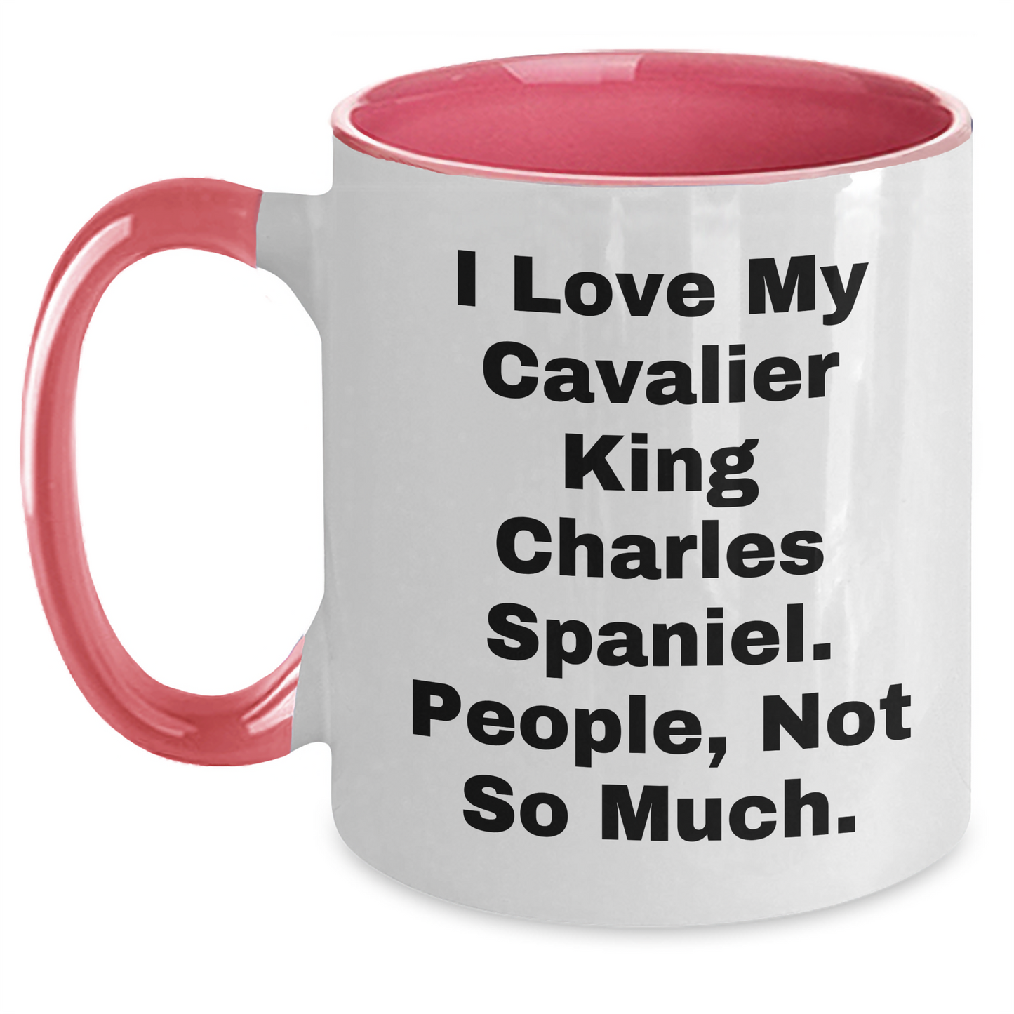 Cavalier King Charles Spaniel Dog Lovers Gifts from Friends for Graduation Unique Two Tone Coffee Mugs with Funny Quote - Main