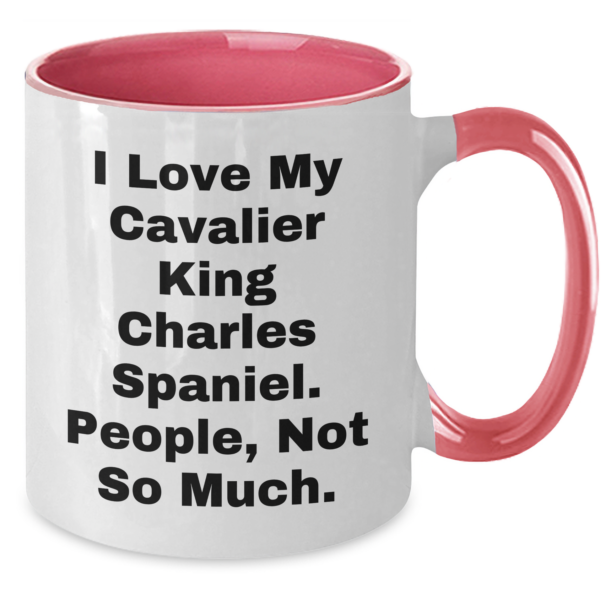 Cavalier King Charles Spaniel Dog Lovers Gifts from Friends for Graduation Unique Two Tone Coffee Mugs with Funny Quote - Additional
