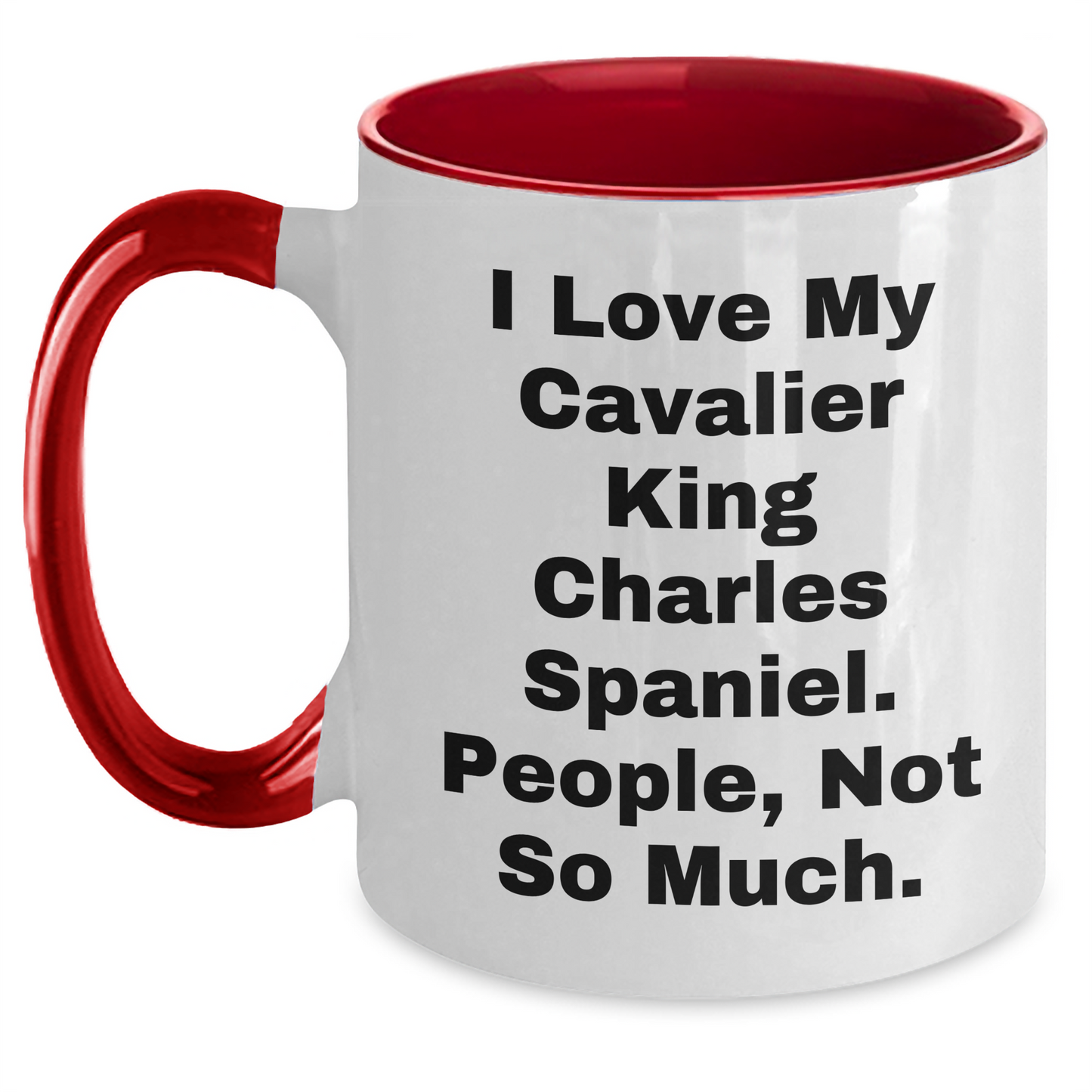 Cavalier King Charles Spaniel Dog Lovers Gifts from Friends for Graduation Unique Two Tone Coffee Mugs with Funny Quote - Main