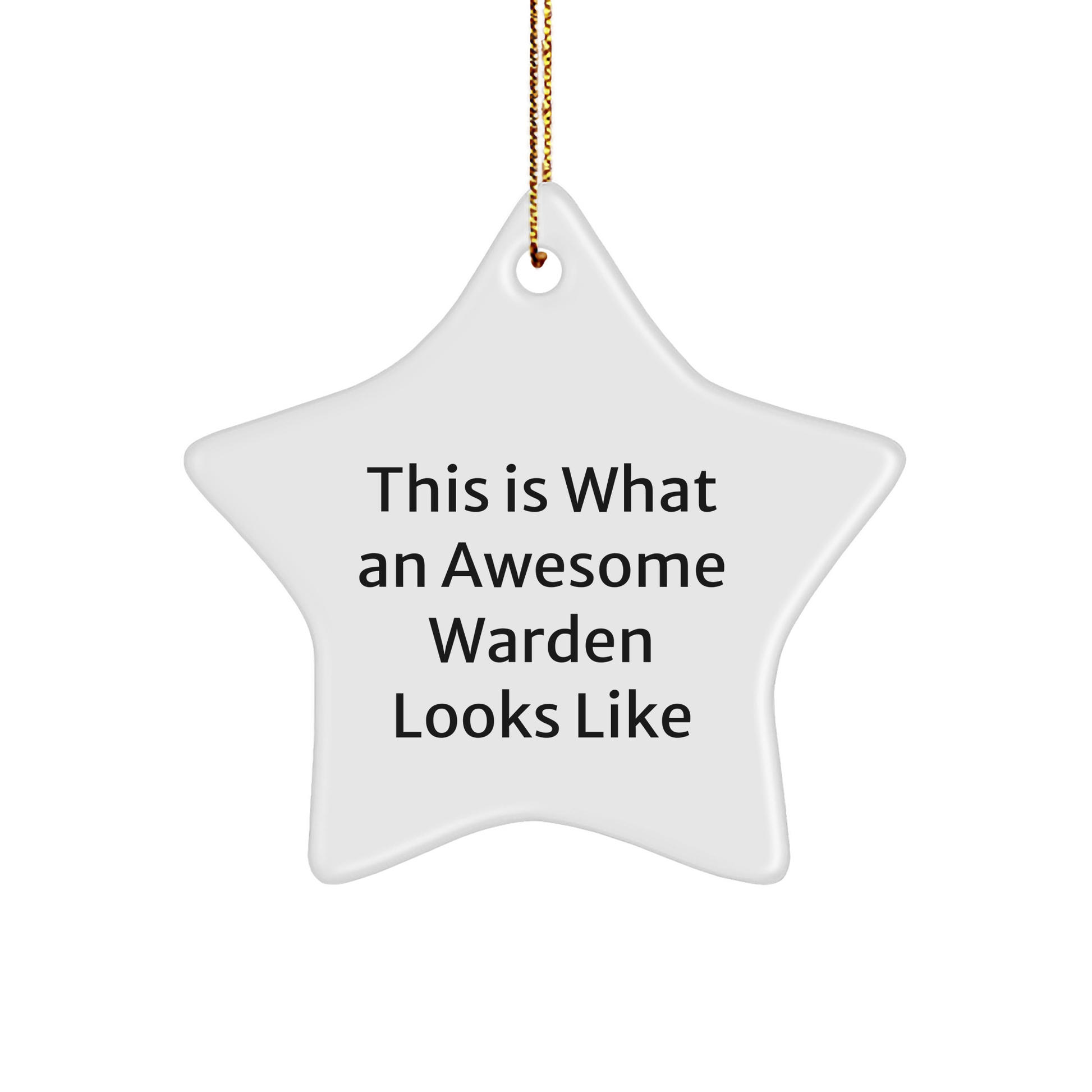 Warden Gifts, Star Ornament, Funny Quote: This Is What An Awesome Warden Looks Like, Christmas Unique Gifts from Friends to Men - Image 1