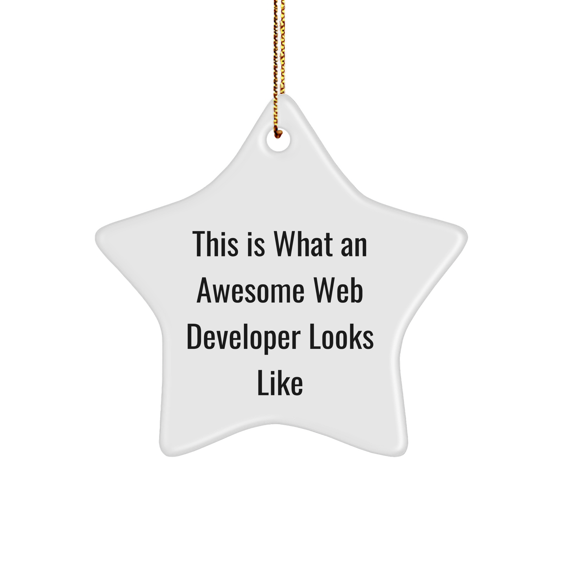 Web Developer Gifts, This Is What An Awesome Web Developer Looks Like, Star Ornament, Christmas Unique Gifts from Friends to Web Developer - Image 1
