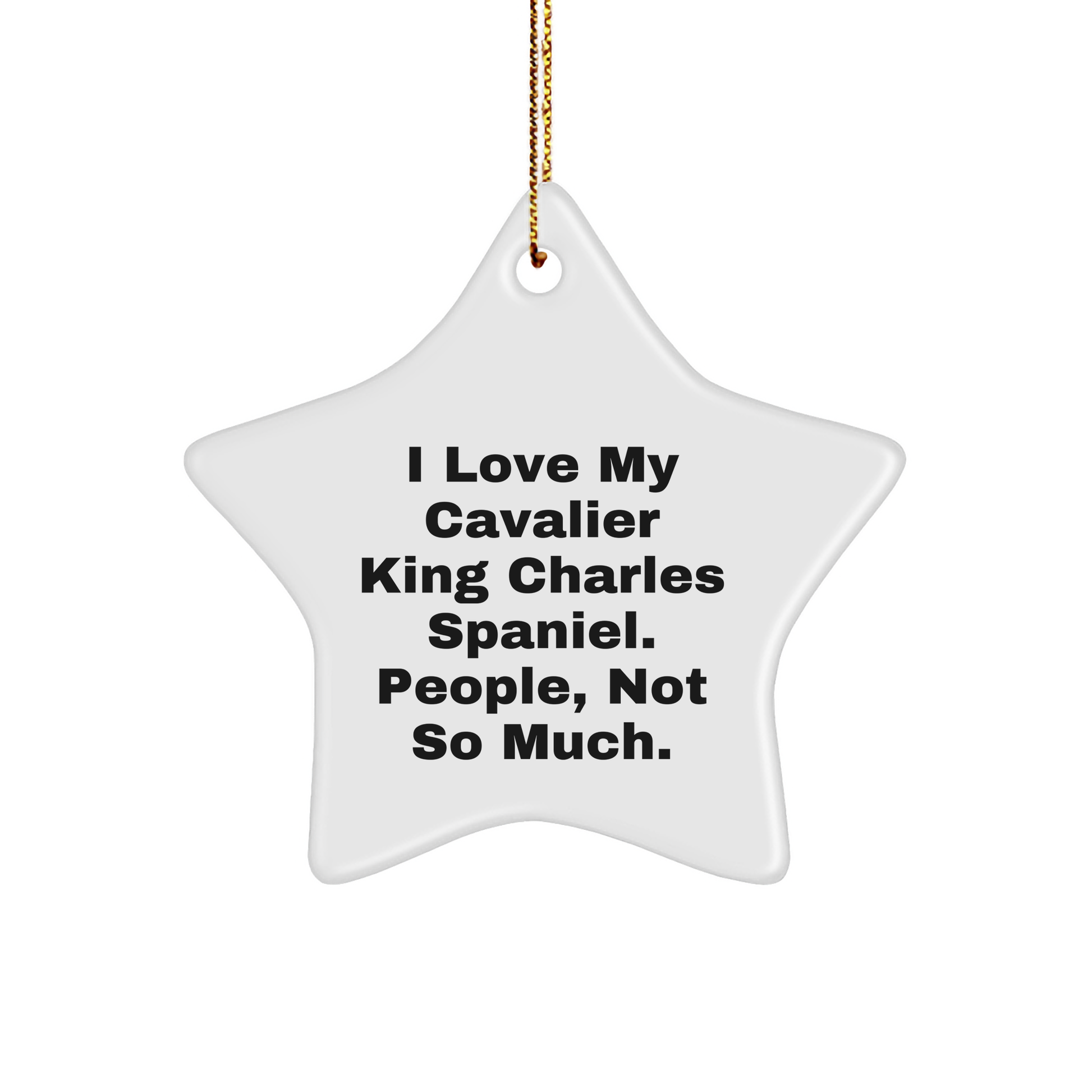 Cavalier King Charles Spaniel Dog Gifts, Funny Quote Star Ornament, Gifts from Family for Men, Women, Friends, Coworkers, Unique Christmas Memorable Presents - Image 1