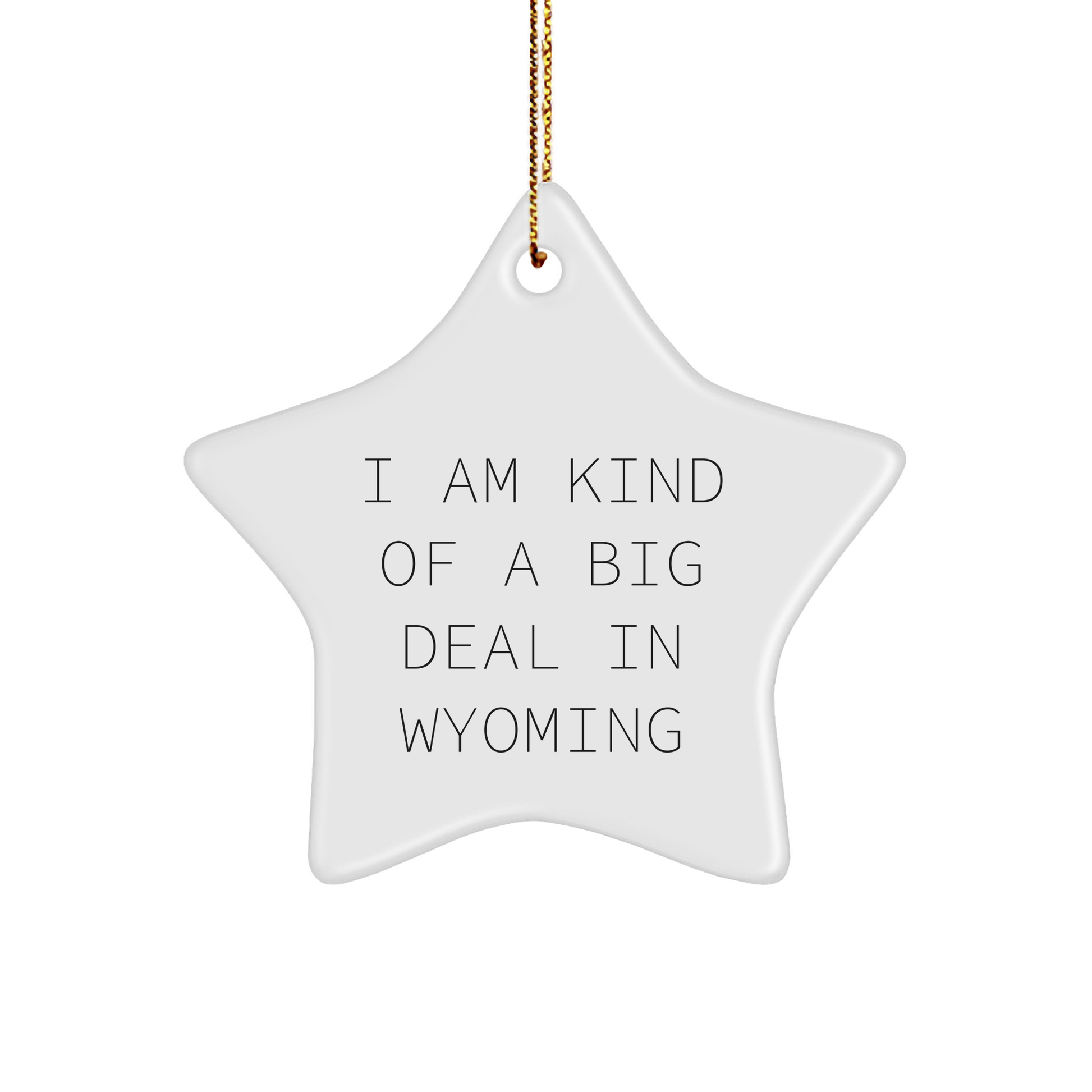 Wyoming Star Ornament, I Am Kind Of A Prime Selection In Wyoming Funny Quote, Gifts from Friends for Wyoming Lovers - Image 1