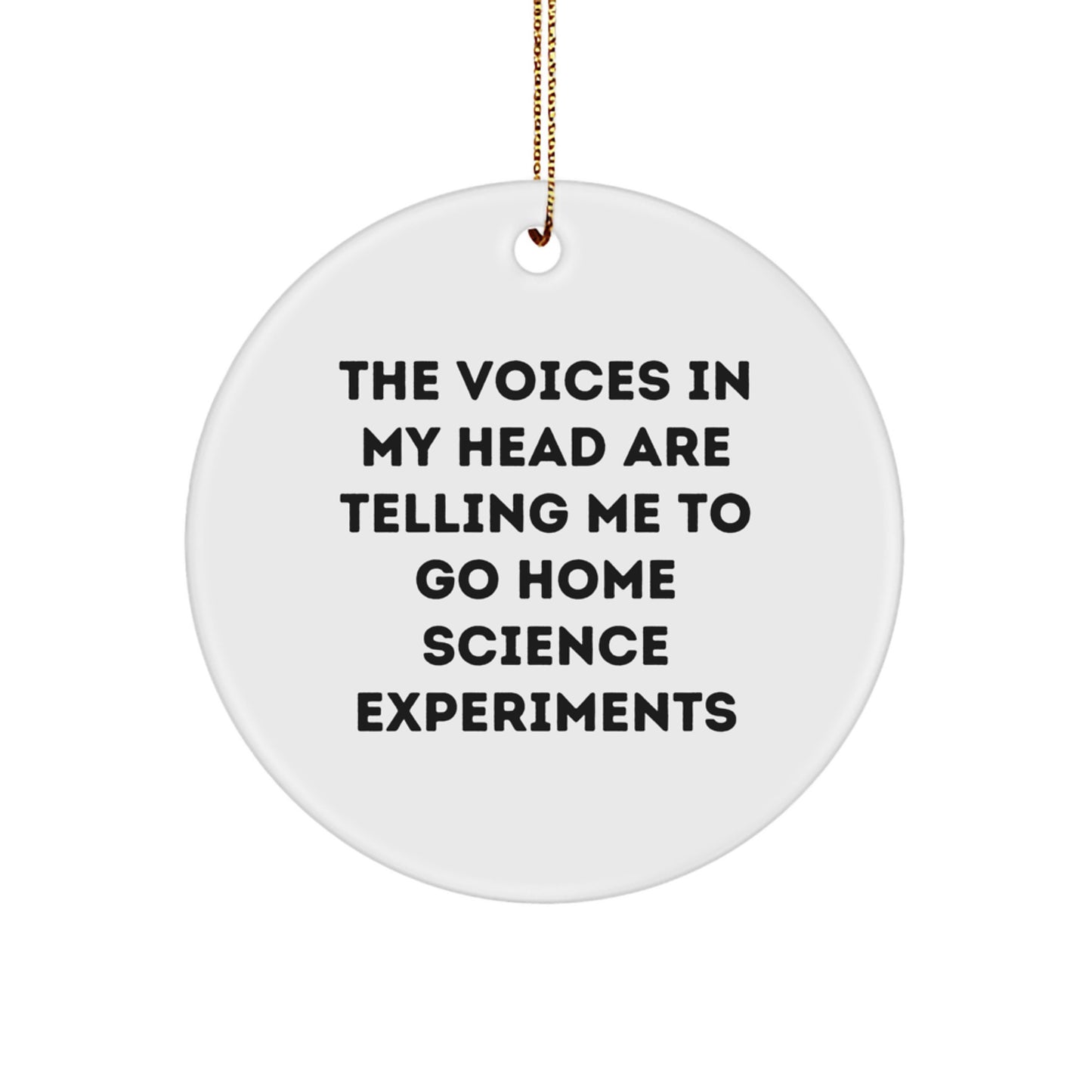 Funny Home Science Experiments Gifts from Friends for Women, The Voices In My Head Are Telling Me To Go Home Science Experiments Circle Ornament, Christmas Unique Decorations - Image 1