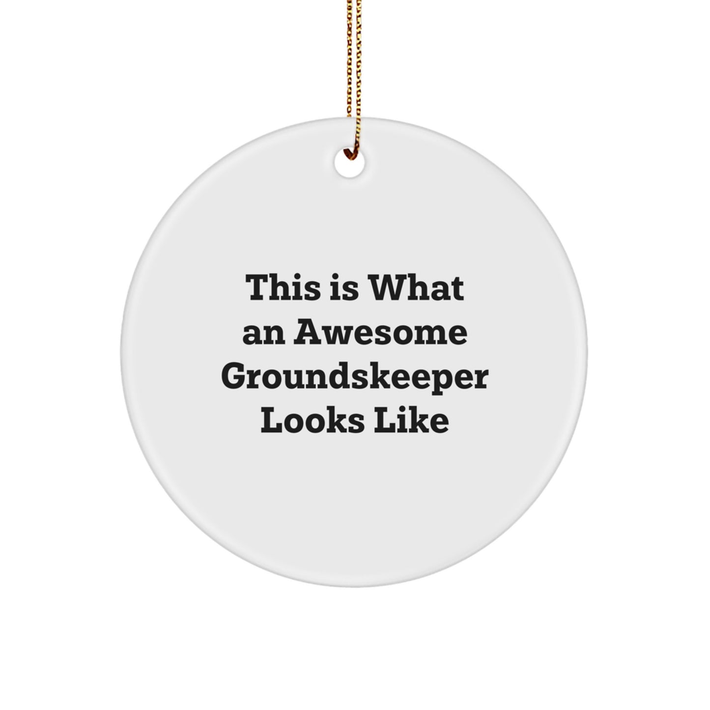 Funny groundskeeper Gifts for Men, Christmas Unique Circle Ornament with 'This Is What An Awesome groundskeeper Looks Like' Quote - Image 1