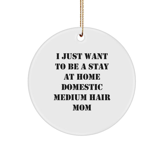 Domestic Medium Hair Cat Mom Gifts from Friends, 'I Just Want To Be' Circle Ornament, Christmas Unique Designs for Home Decor - Image 1