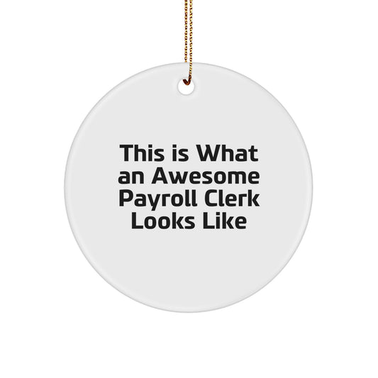 Gifts from Friends, Family, or Coworkers - Payroll Clerk Quotes Circle Ornament for Christmas, Awesome Payroll Clerk Look - Gifts for Payroll Clerk - Image 1