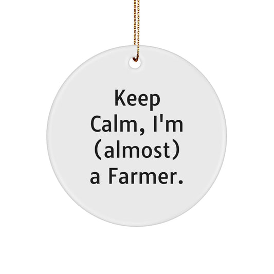 Funny Farmer Gifts for Him, 'Keep Calm I'm (almost) A Farmer' Circle Ornament, Christmas Unique Gifts from Family to Friends - Image 1
