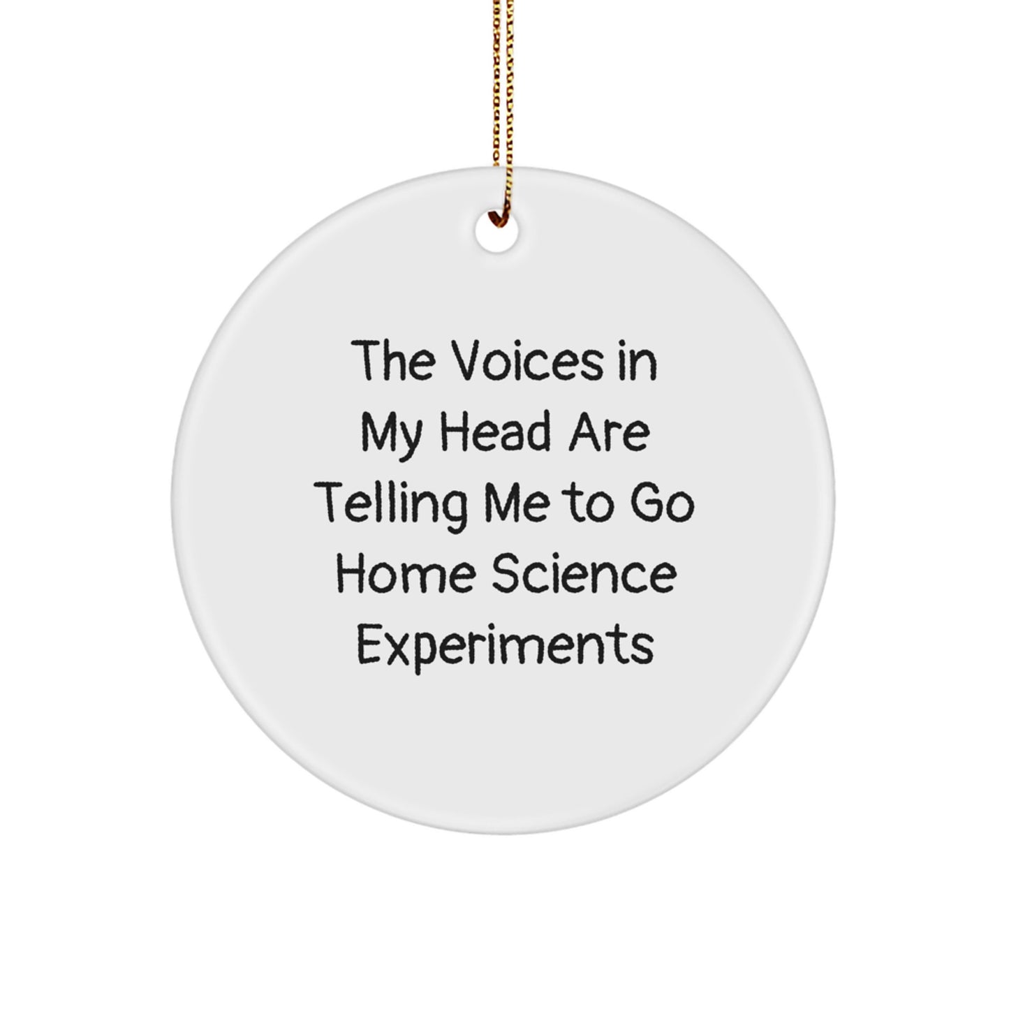 Funny Home Science Experiments Circle Ornament Gifts from Friends and Family for Christmas - Image 1