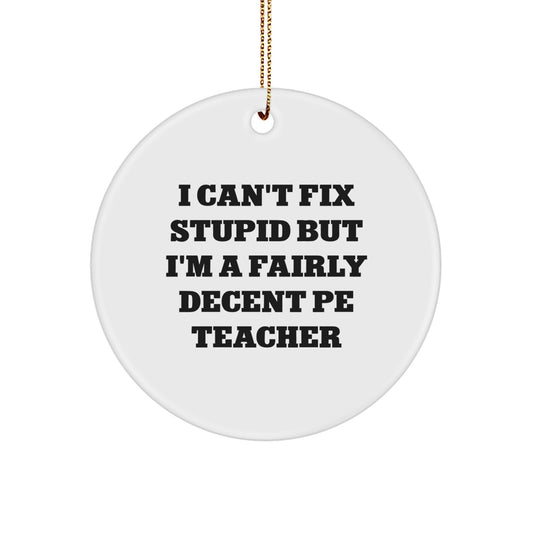 Funny PE Teacher Gifts, Circle Ornament with Inspirational Quote 'I Can't Fix Stupid But I'm A Fairly Decent PE Teacher', Unique Christmas Unique Gifts from Family to PE Teacher - Image 1