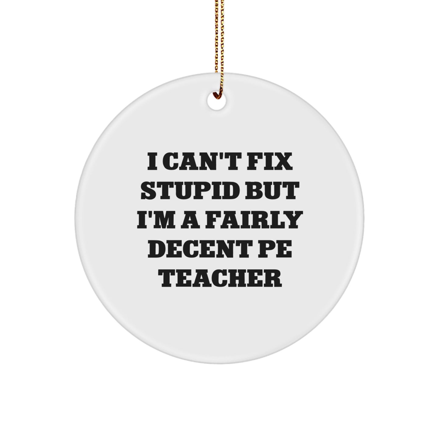 Funny PE Teacher Gifts, Circle Ornament with Inspirational Quote 'I Can't Fix Stupid But I'm A Fairly Decent PE Teacher', Unique Christmas Unique Gifts from Family to PE Teacher - Image 1