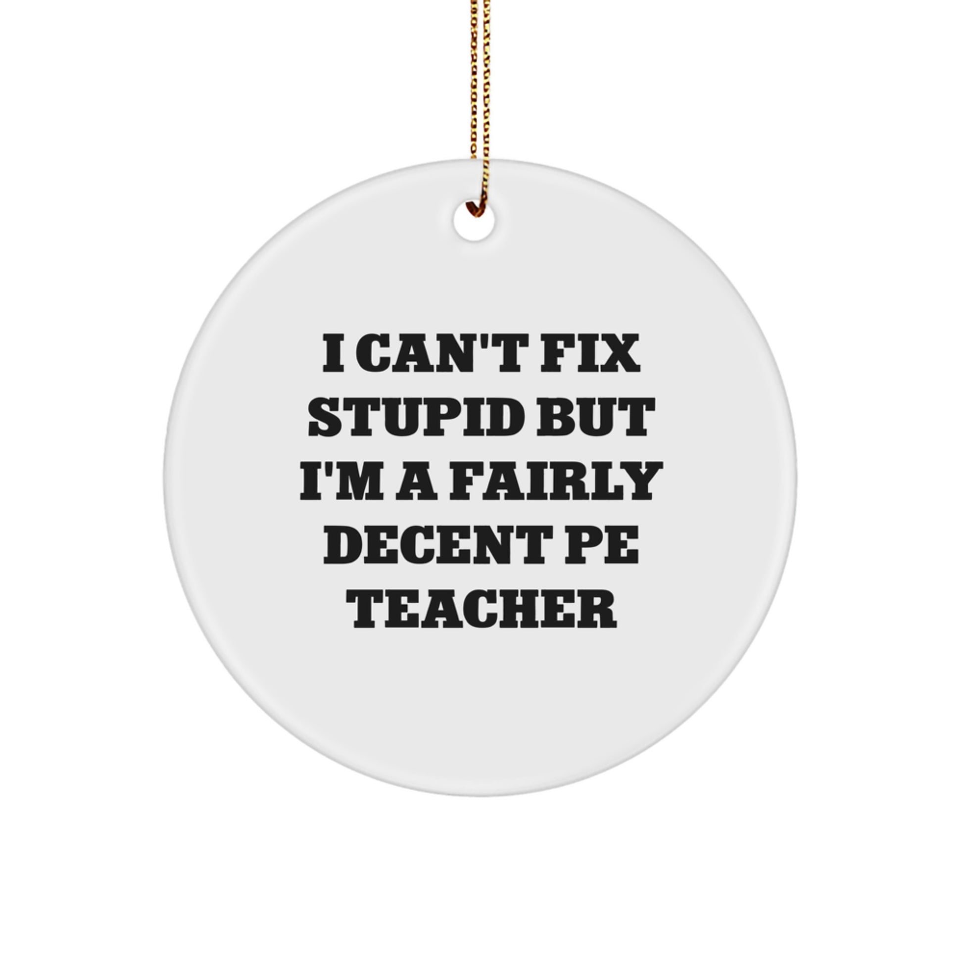 Funny PE Teacher Gifts, Circle Ornament with Inspirational Quote 'I Can't Fix Stupid But I'm A Fairly Decent PE Teacher', Unique Christmas Unique Gifts from Family to PE Teacher - Image 1