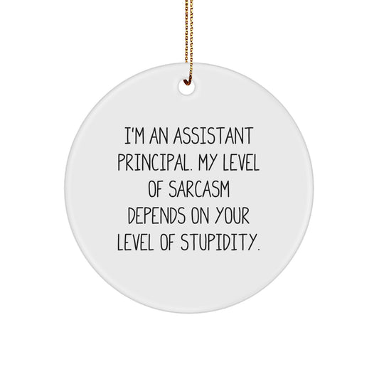 Funny Assistant Principal Gifts from Men for Christmas Unique Ornaments - I'm An Assistant Principal Sarcasm Level Depends On Stupidity - Image 1