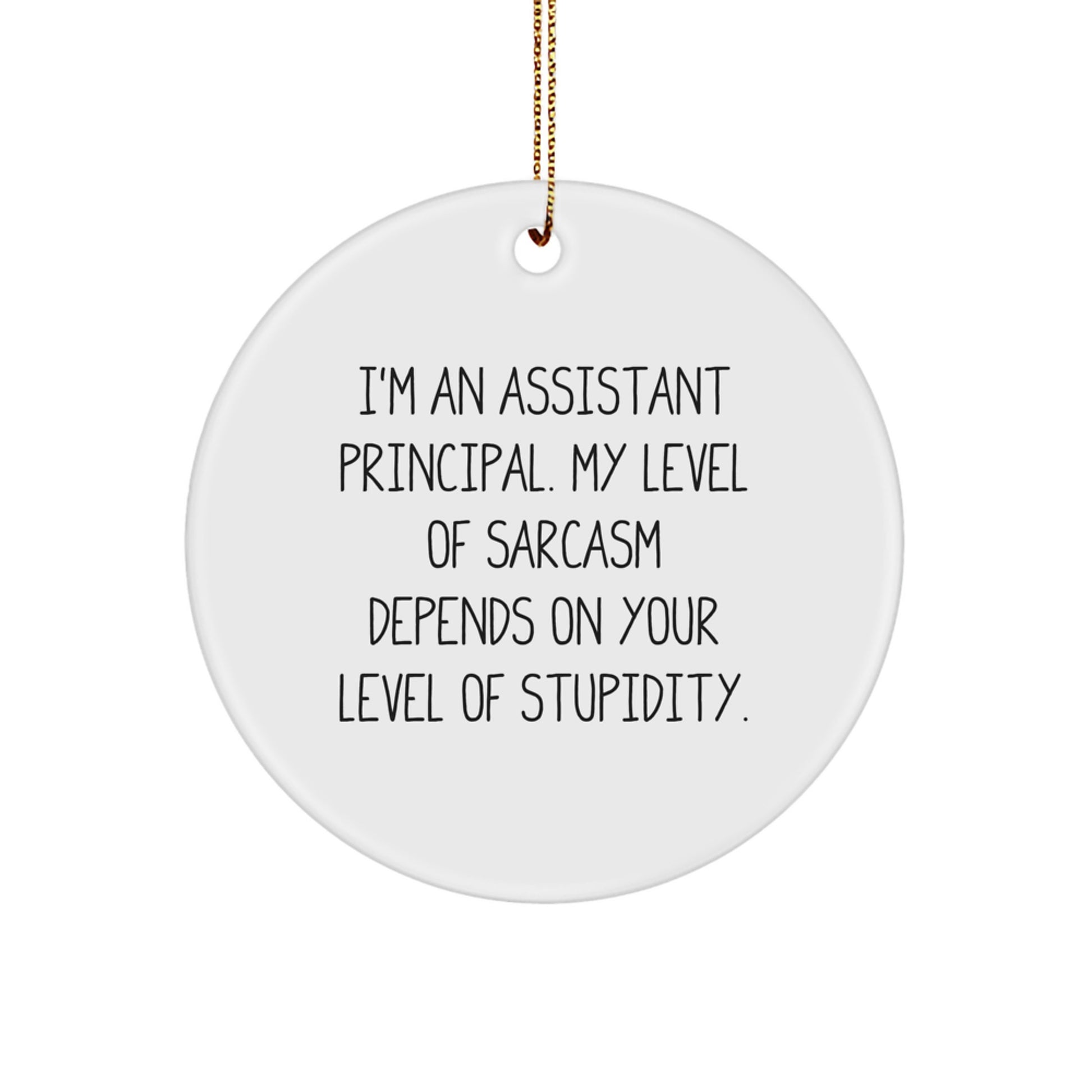 Funny Assistant Principal Gifts from Men for Christmas Unique Ornaments - I'm An Assistant Principal Sarcasm Level Depends On Stupidity - Image 1