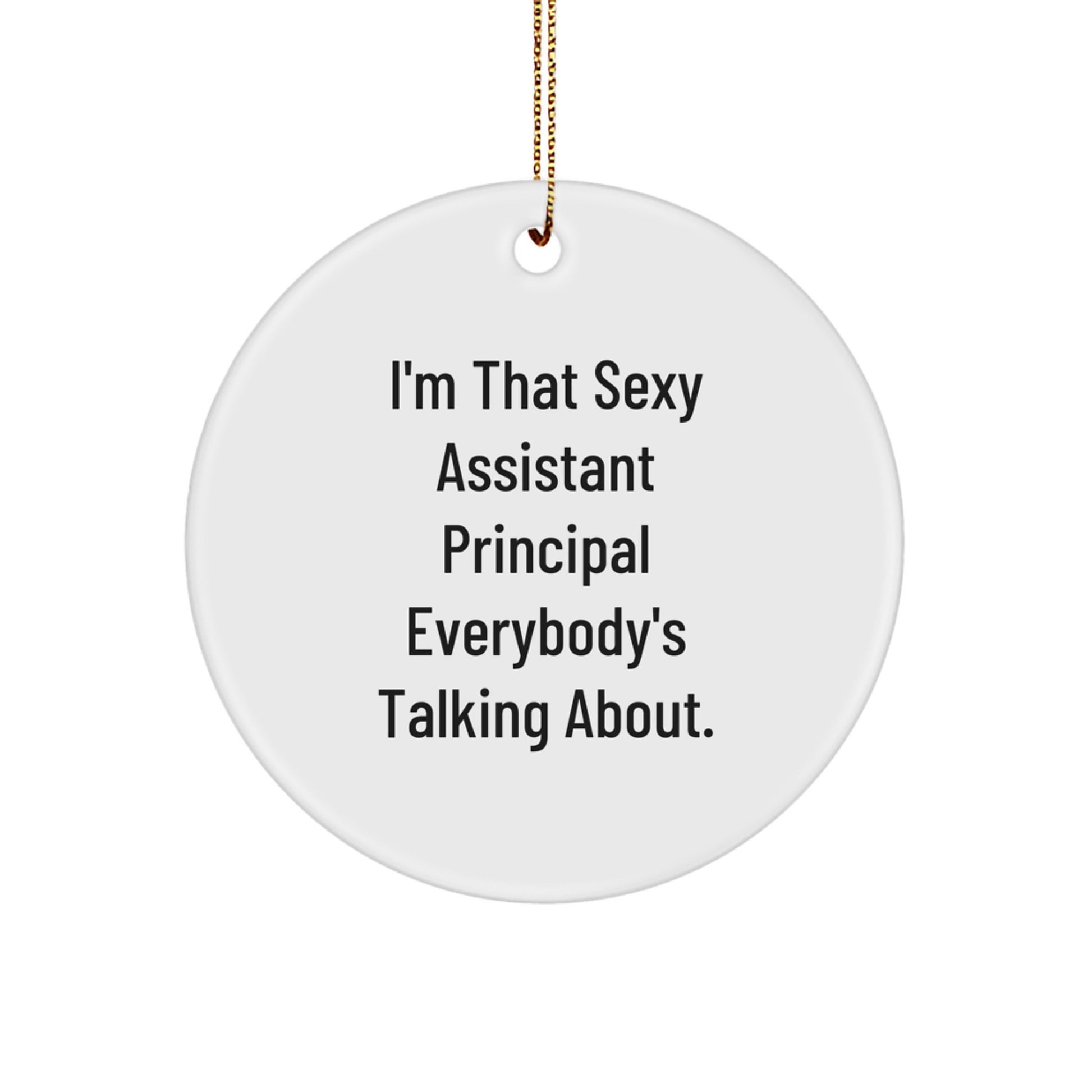 Funny Assistant Principal Gifts for Christmas Unique Circle Ornament Gifts from Friends - Image 1