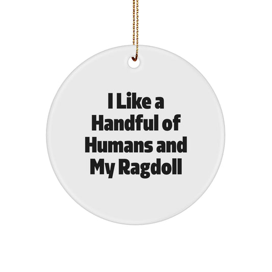 Funny Christmas Circle Ornaments Gifts for Ragdoll Cat Lovers, Handmade Circle Ornament from Friends, I Like A Handful Of Humans And My Ragdoll - Image 1