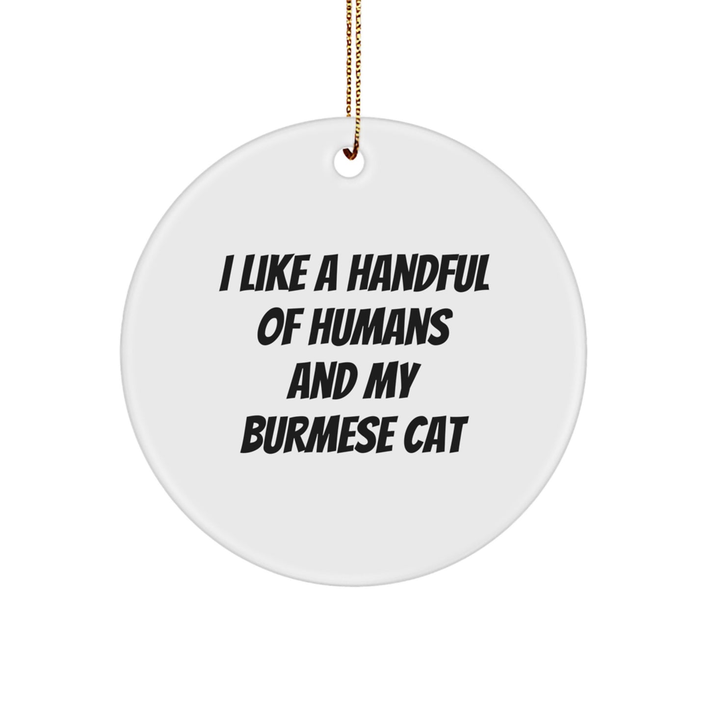 Funny Burmese Cat Gifts, Gifts from Men to Family, Christmas Unique Ornaments for Burmese Cat Lovers - Image 1