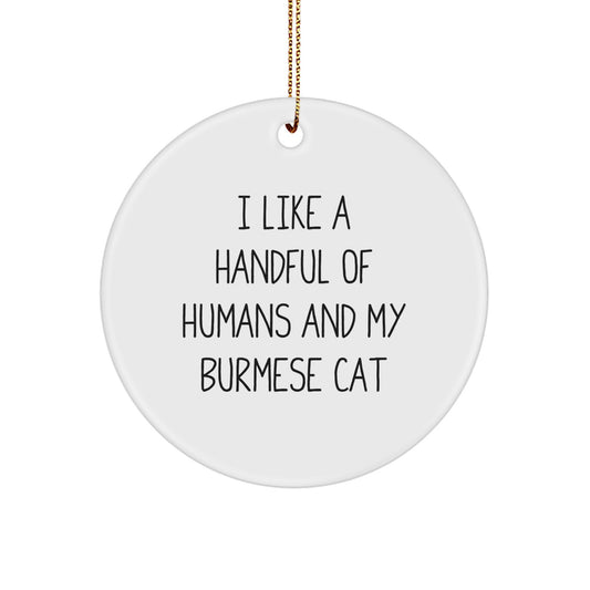 Burmese Cat Lovers Gifts from Family for Christmas Unique Circle Ornament, Funny Quote 'I Like A Handful Of Humans And My' Burmese Cat Decorations - Image 1