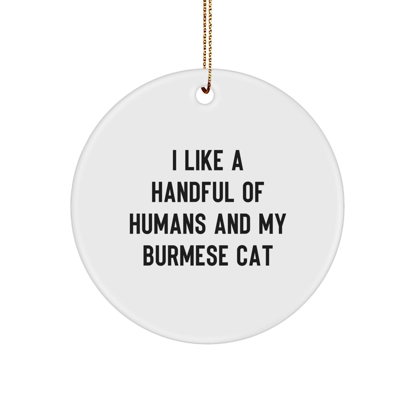 Burmese Cat Lover Gifts from Friends for Men Unique Christmas Ornaments, I 'Like A Handful Of Humans And My Burmese Cat' Decoration - Image 1