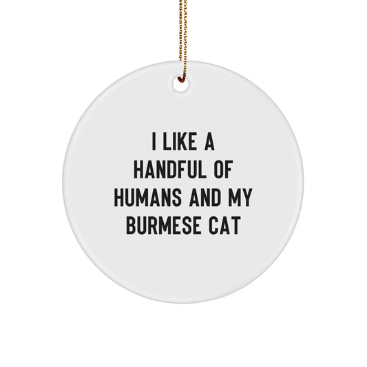 Burmese Cat Lover Gifts from Friends for Men Unique Christmas Ornaments, I 'Like A Handful Of Humans And My Burmese Cat' Decoration - Image 1