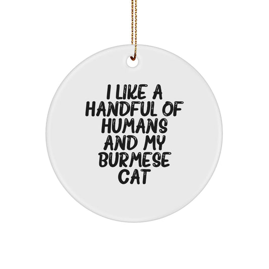 Burmese Cat Lover Gifts from Men for Women - Funny Circle Ornament for Christmas Unique Presents - Image 1