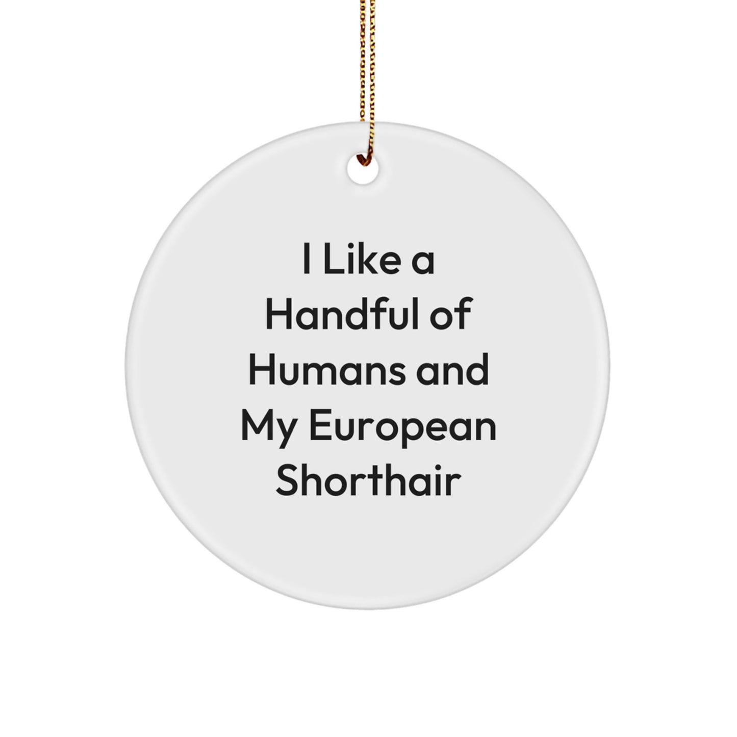 Funny European Shorthair Cat Gifts from Friends for Christmas Unique Circle Ornament, 'I Like A Handful Of Humans And My European Shorthair' Decorations - Image 1