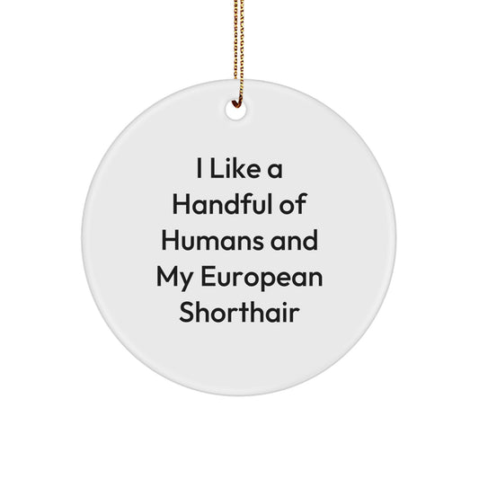 Funny European Shorthair Cat Gifts from Friends for Christmas Unique Circle Ornament, 'I Like A Handful Of Humans And My European Shorthair' Decorations - Image 1