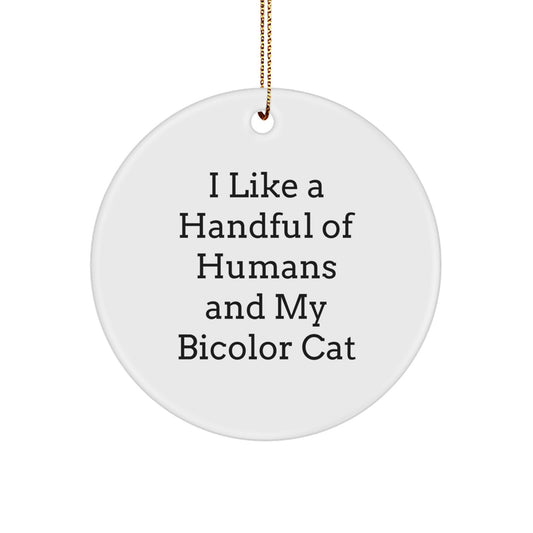 Bicolor Cat Lover Christmas Circle Ornament - Funny Gift for Friends and Family - Image 1
