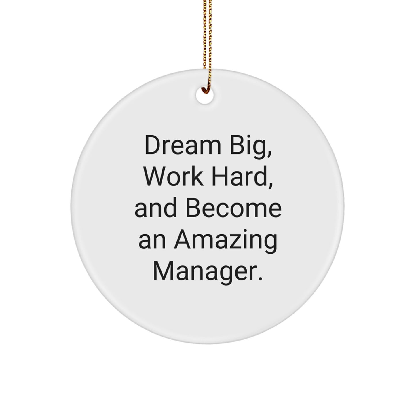 Funny 'Dream Big' Inspirational Manager Gifts from Friends Unique Christmas Circle Ornament for Office Decor - Image 1